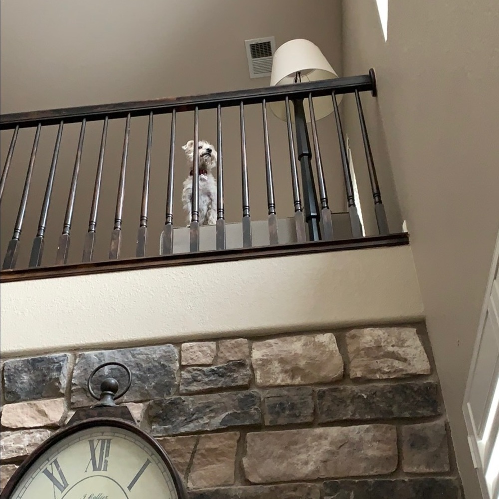 Meet your Posher, Bill